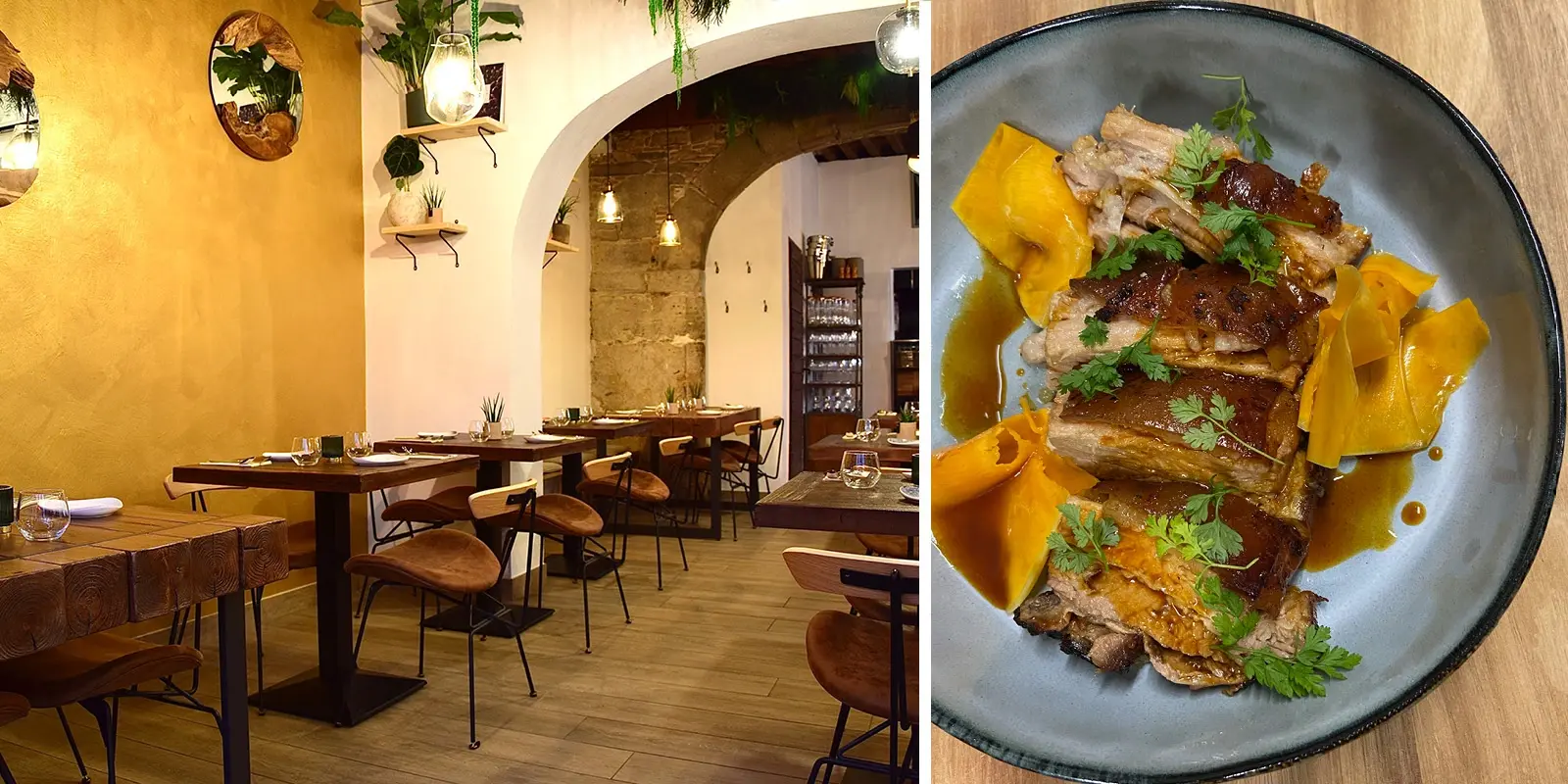 Canopée - Cabinet Hermès