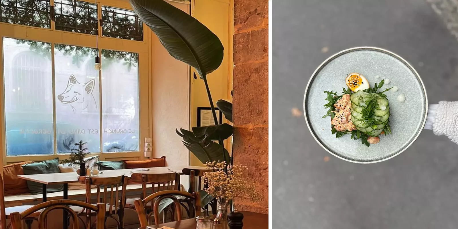 Madame Louve - Cabinet Hermès