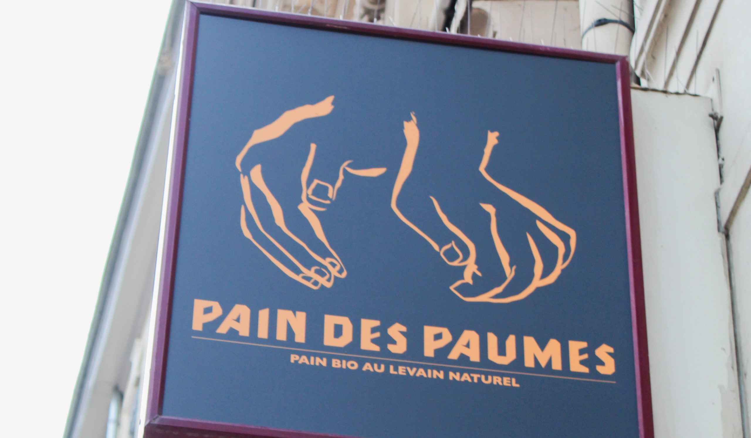logo pain des paumes-01