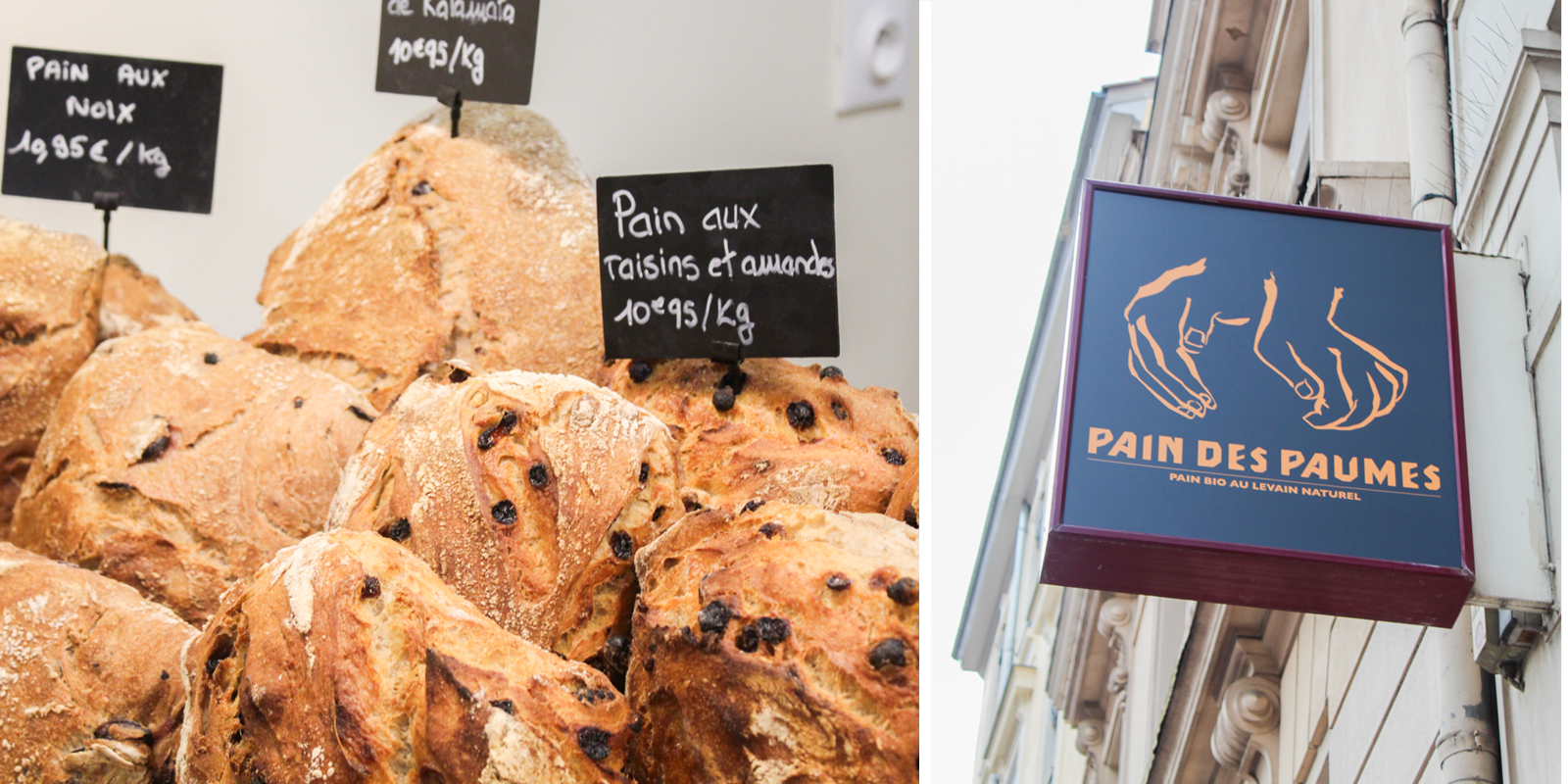 photo article pain des paumes